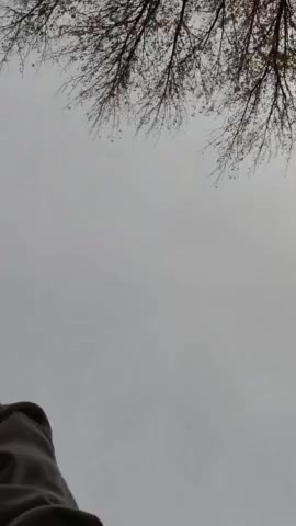 Thumbnail for HazelSincaid's Premium Video Giantess in Shorts Makes Fun of You Before Stomping on You Countdown