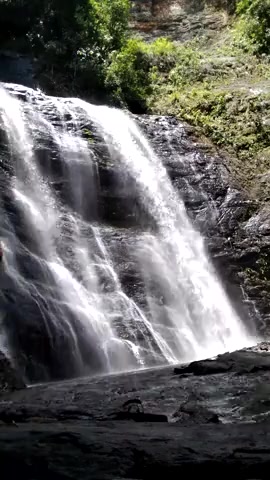 Thumbnail for P3NNY's Premium Video Being naked in nature is my preferred way of living