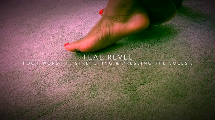 Thumbnail for TealRevel's Premium Video Watch this video!
