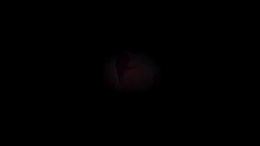 Thumbnail for AlissaBrown's Premium Video Blowjob and penetration