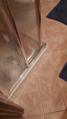Thumbnail for Alexabecks's Premium Video I give myself some pleasure in the shower, do you want to enjoy me
