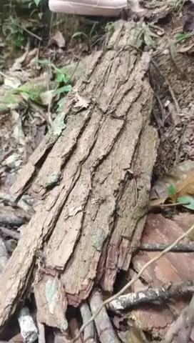 Thumbnail for EvaMoreno's Premium Video Outdoor Sensuality