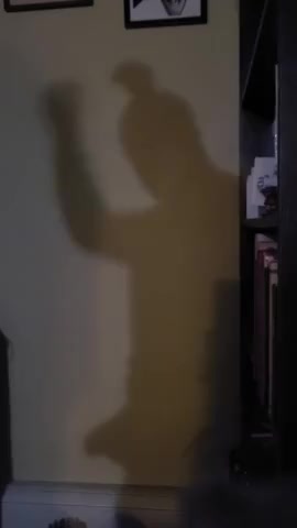 Thumbnail for DamienMace's Premium Video Shadow Play