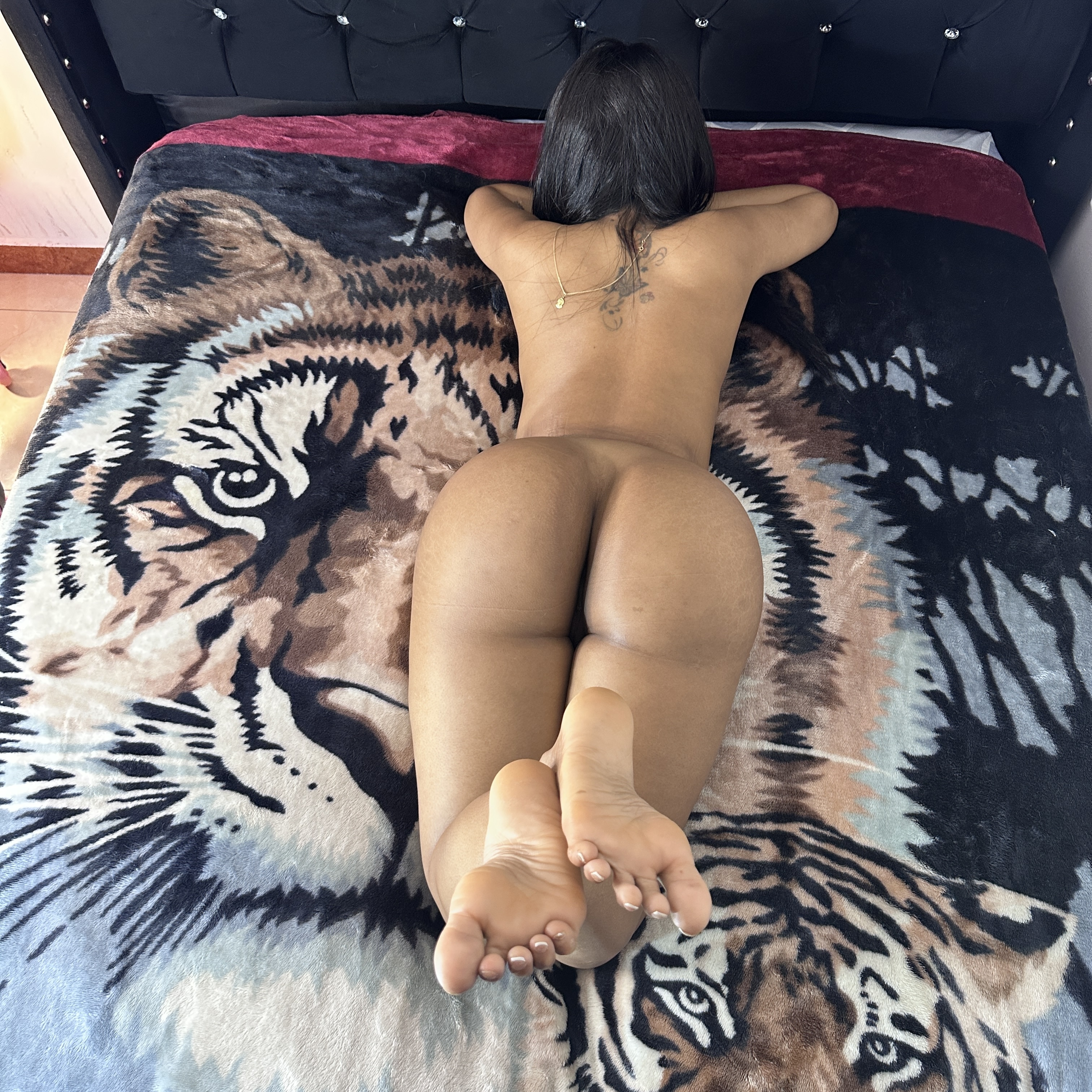 LATINA_BIG_CLITXXX