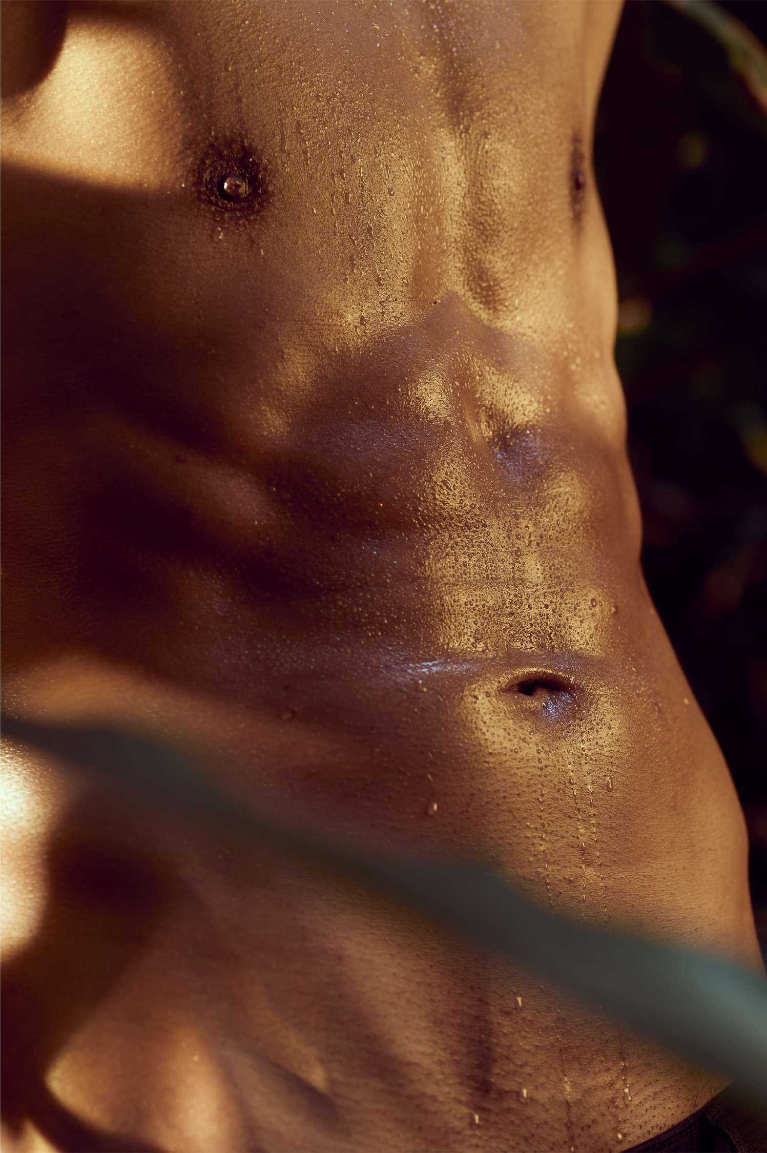 NoahVolkov