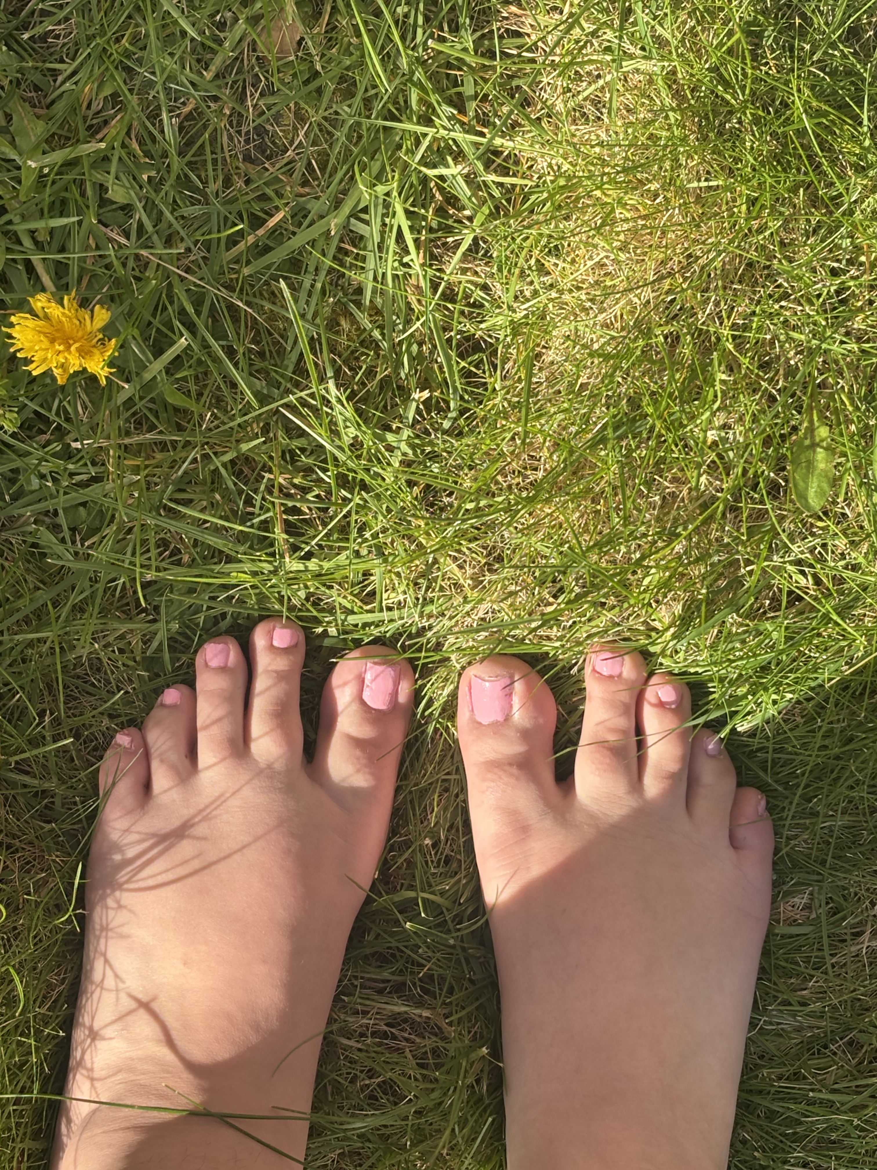 LottieRoseX picture 1