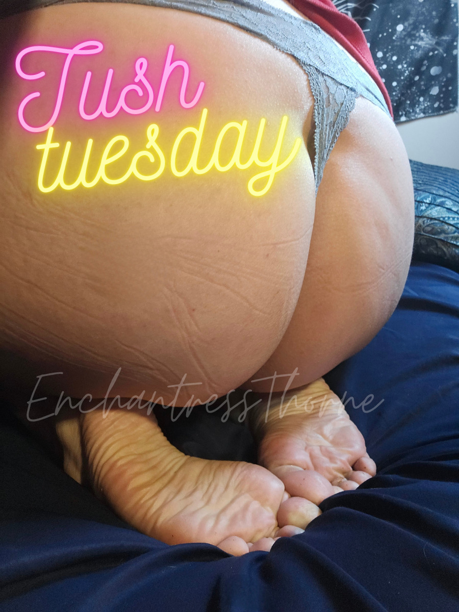 EnchantressThorne