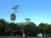 LIA_SMIT