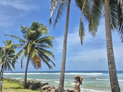 linadawill pic