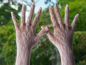 catalinadalessio pic