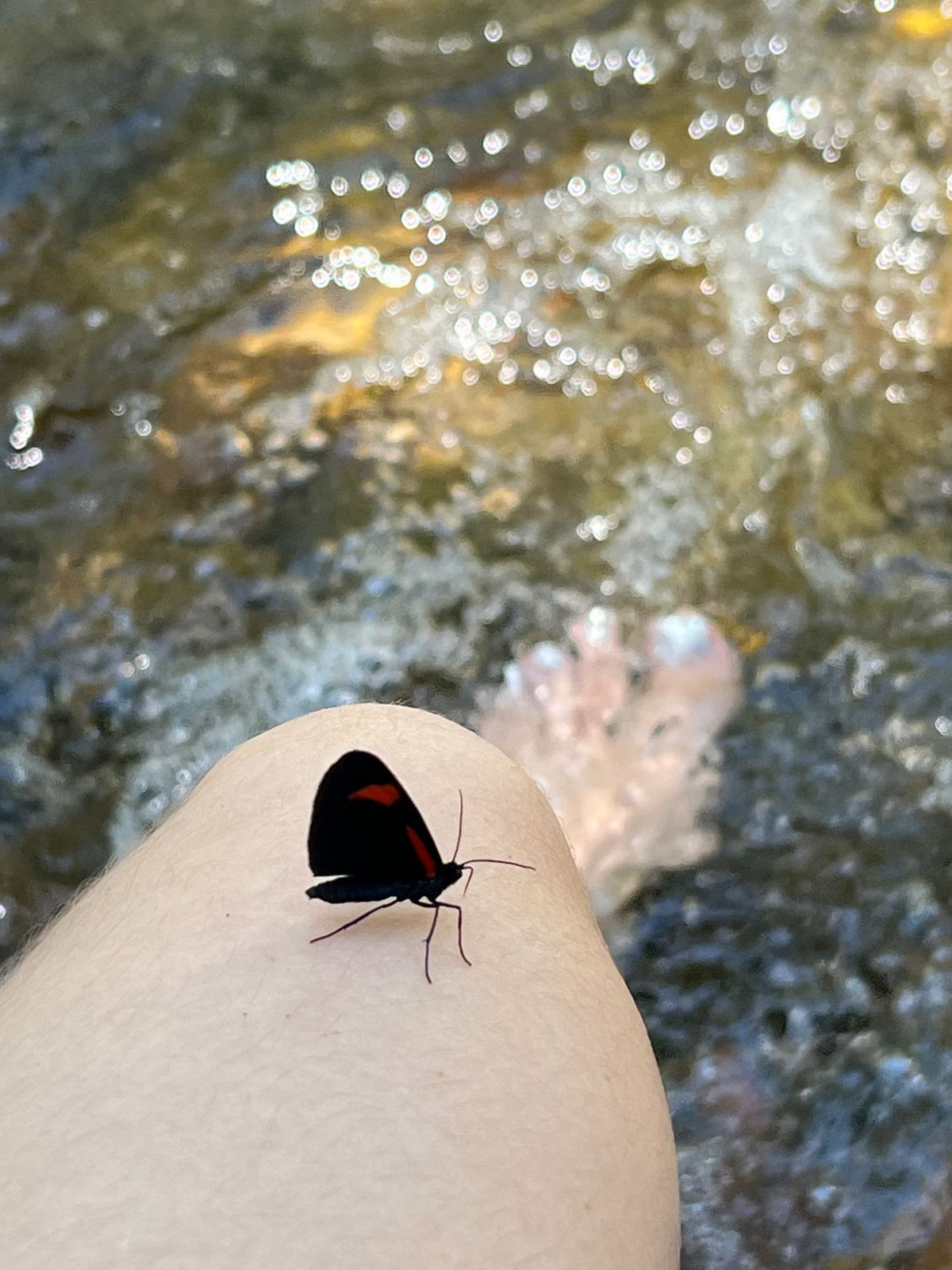 vicktorialou from Jerkmate