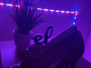 lilablaze pic