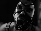 stefanoeverett pic