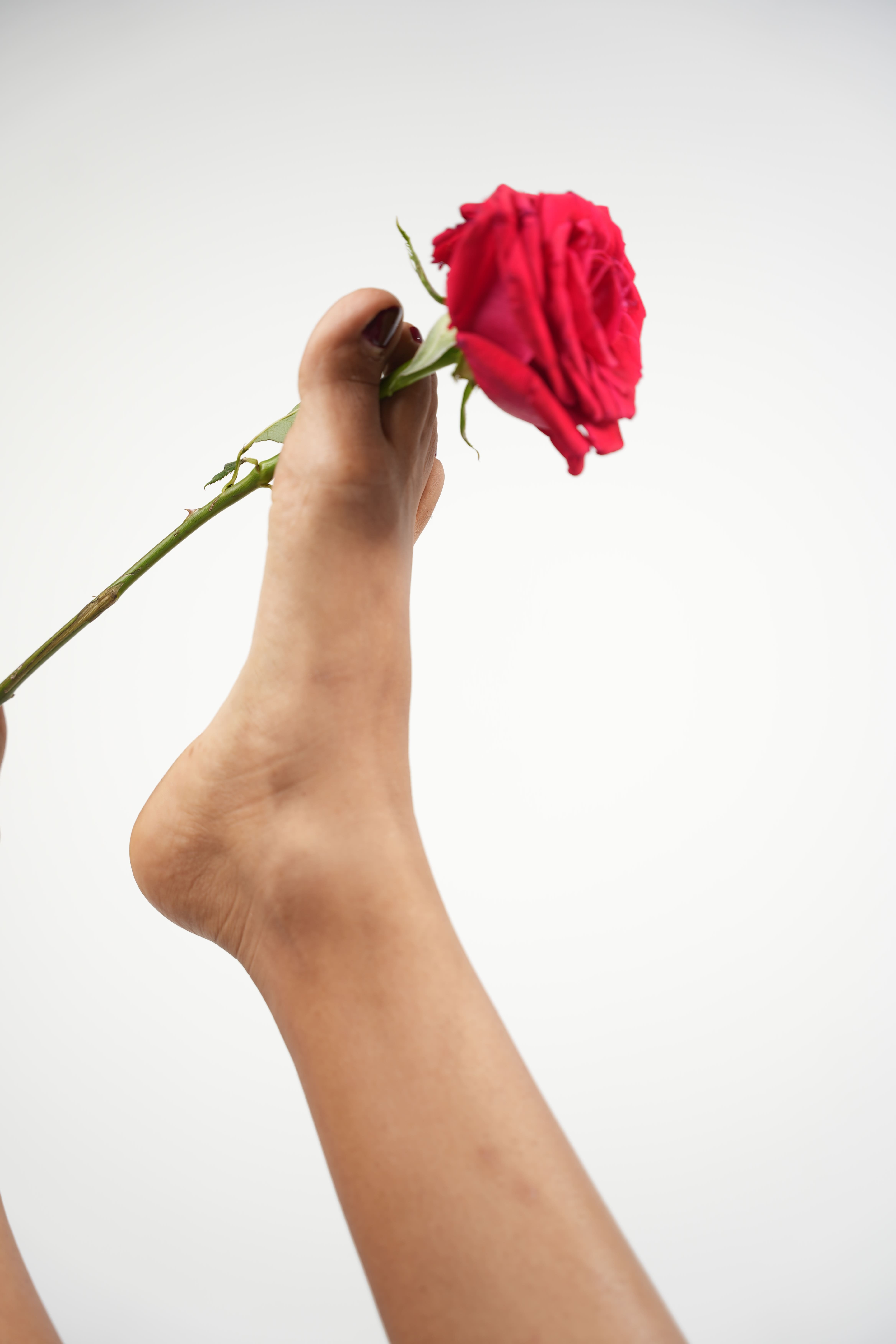 Missnix_Lux picture 1