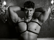 andrewsgray photo