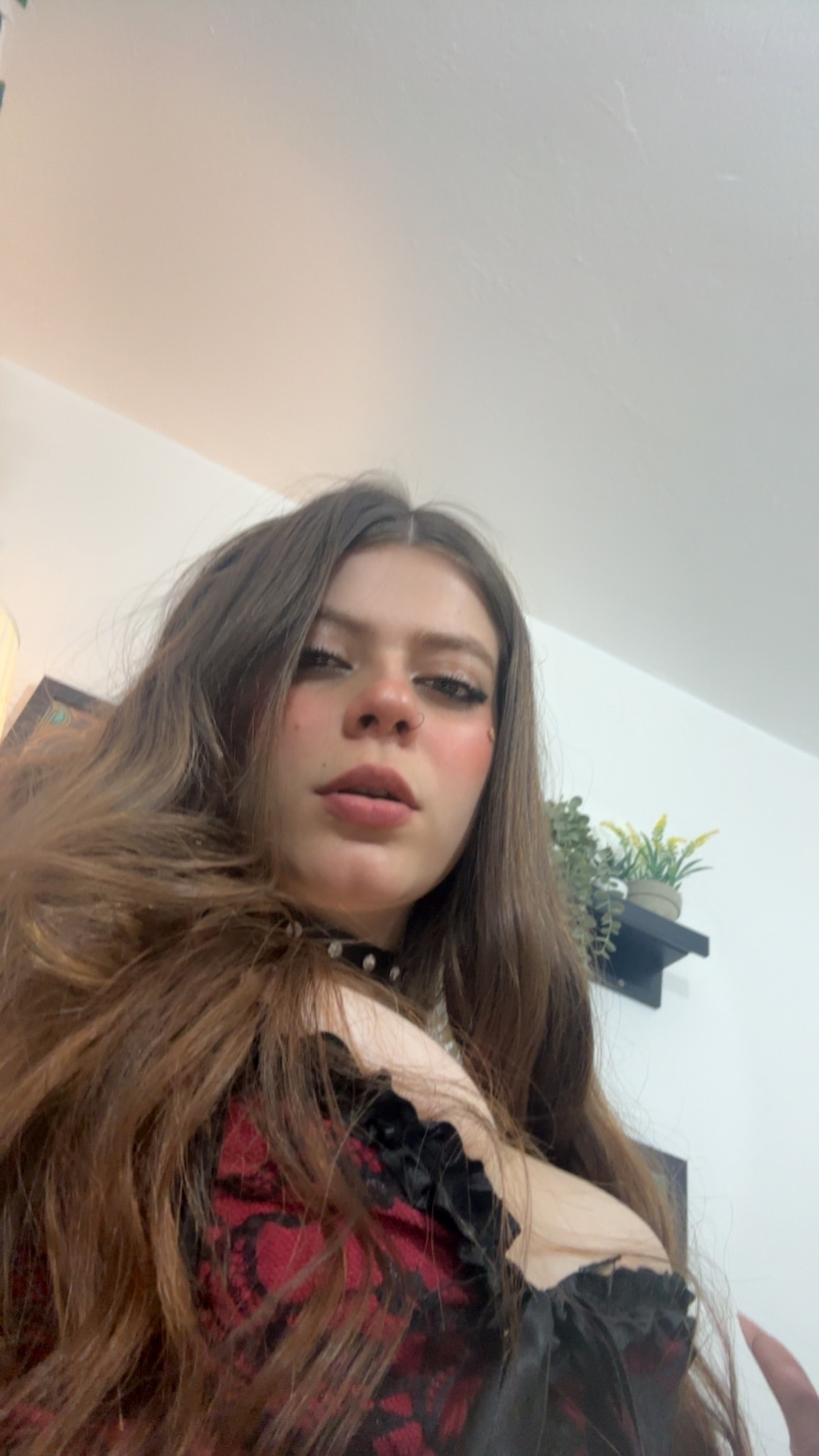 Lola_Quin
