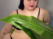 Sweet_Nova