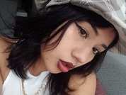 Model profile