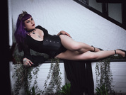 angellfox pic