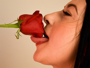 kameliaduran pic