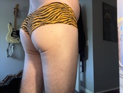dickeyhogstuffin photo