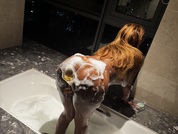 Sexxy_crimson29