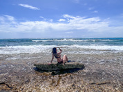 evelyntyler pic