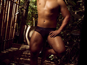 LionFerrer