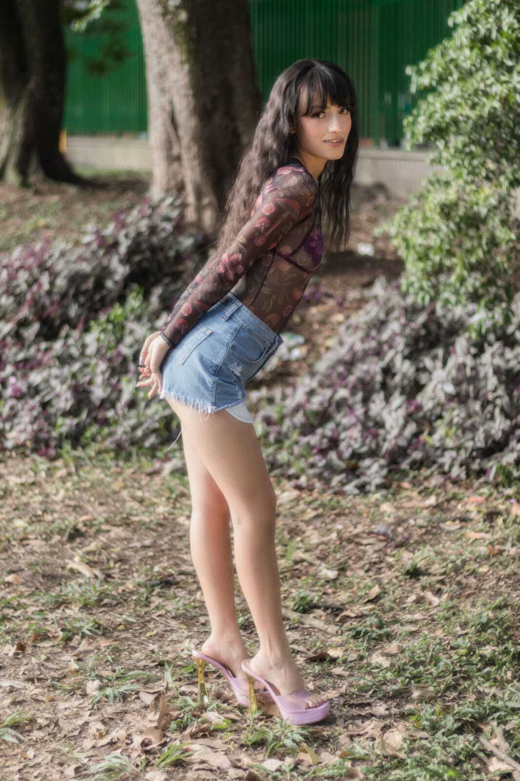 Vixen_Flutter