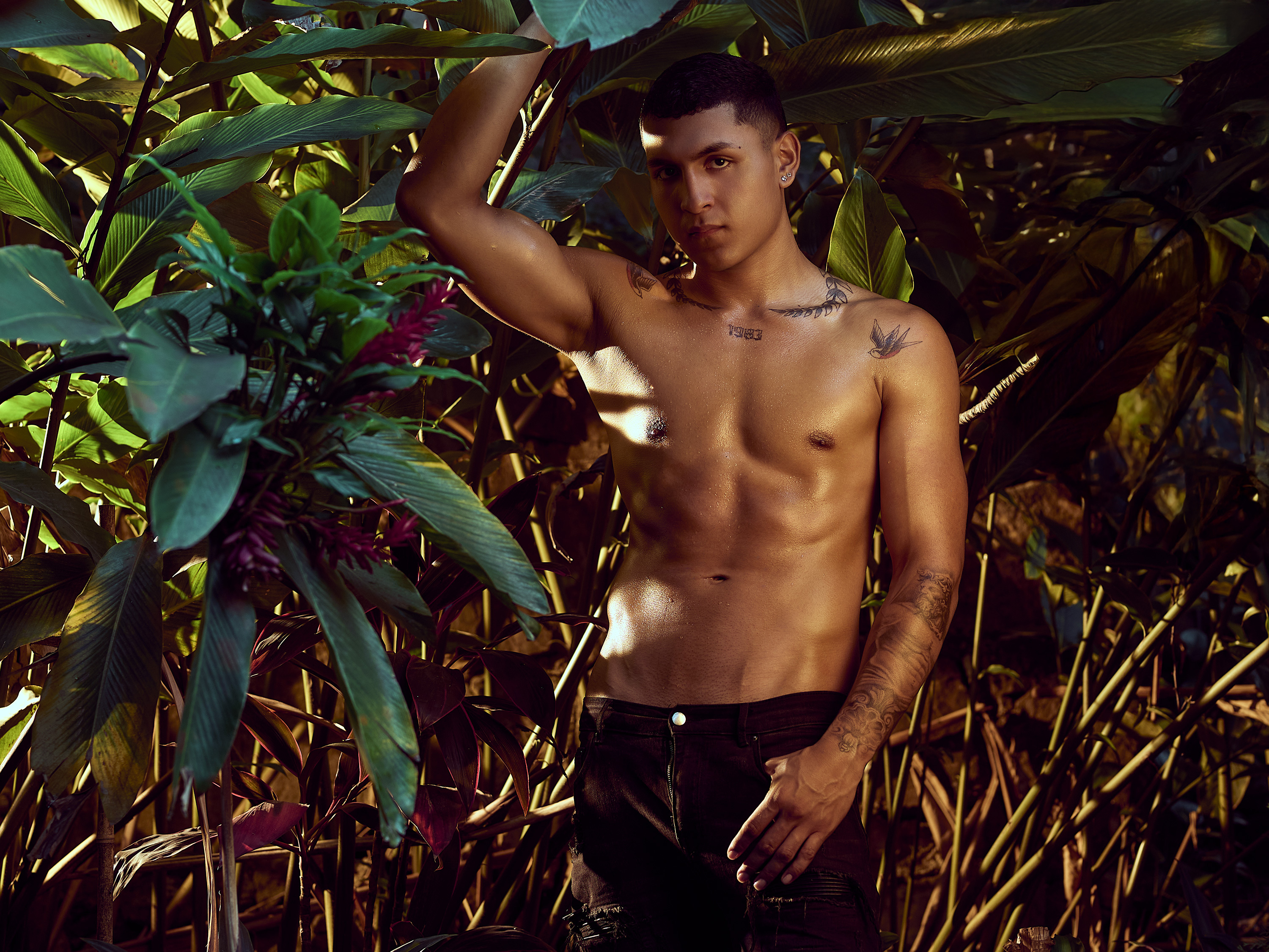 NoahVolkov