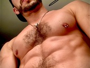 damnfox pic