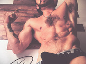 damnfox pic