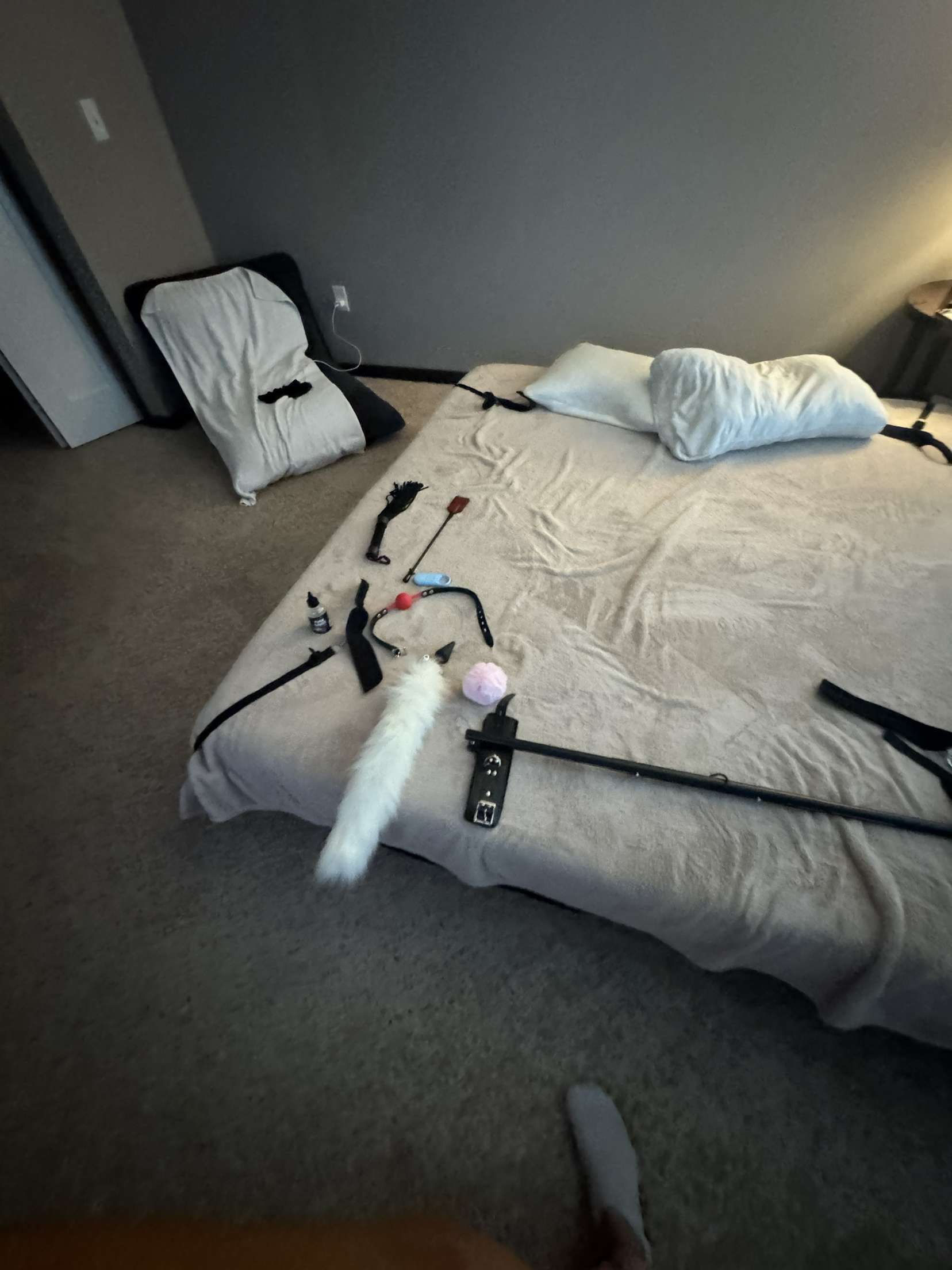 Co_ast