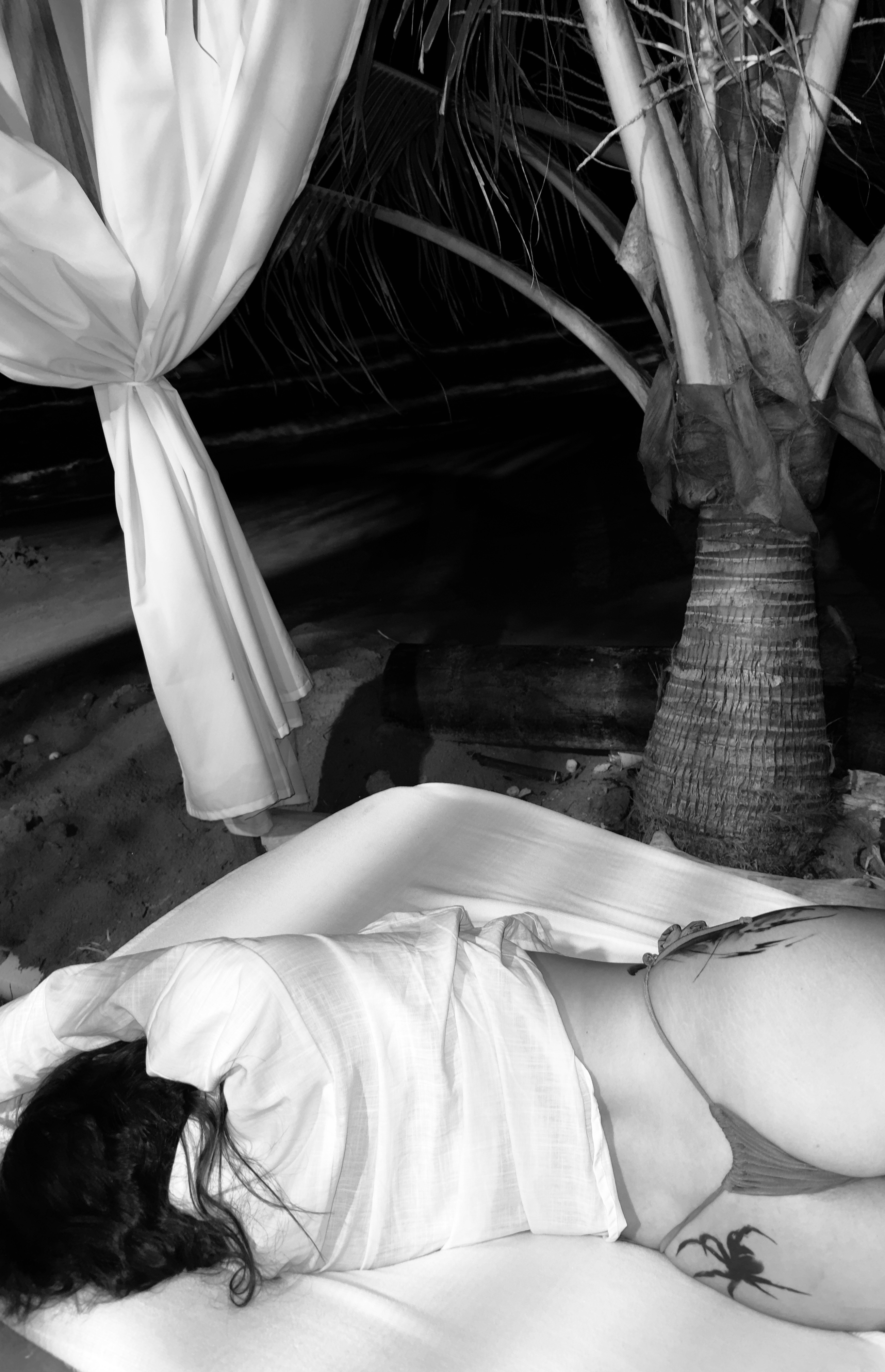 OceanTaylor picture 6