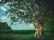 andreadilucca pic