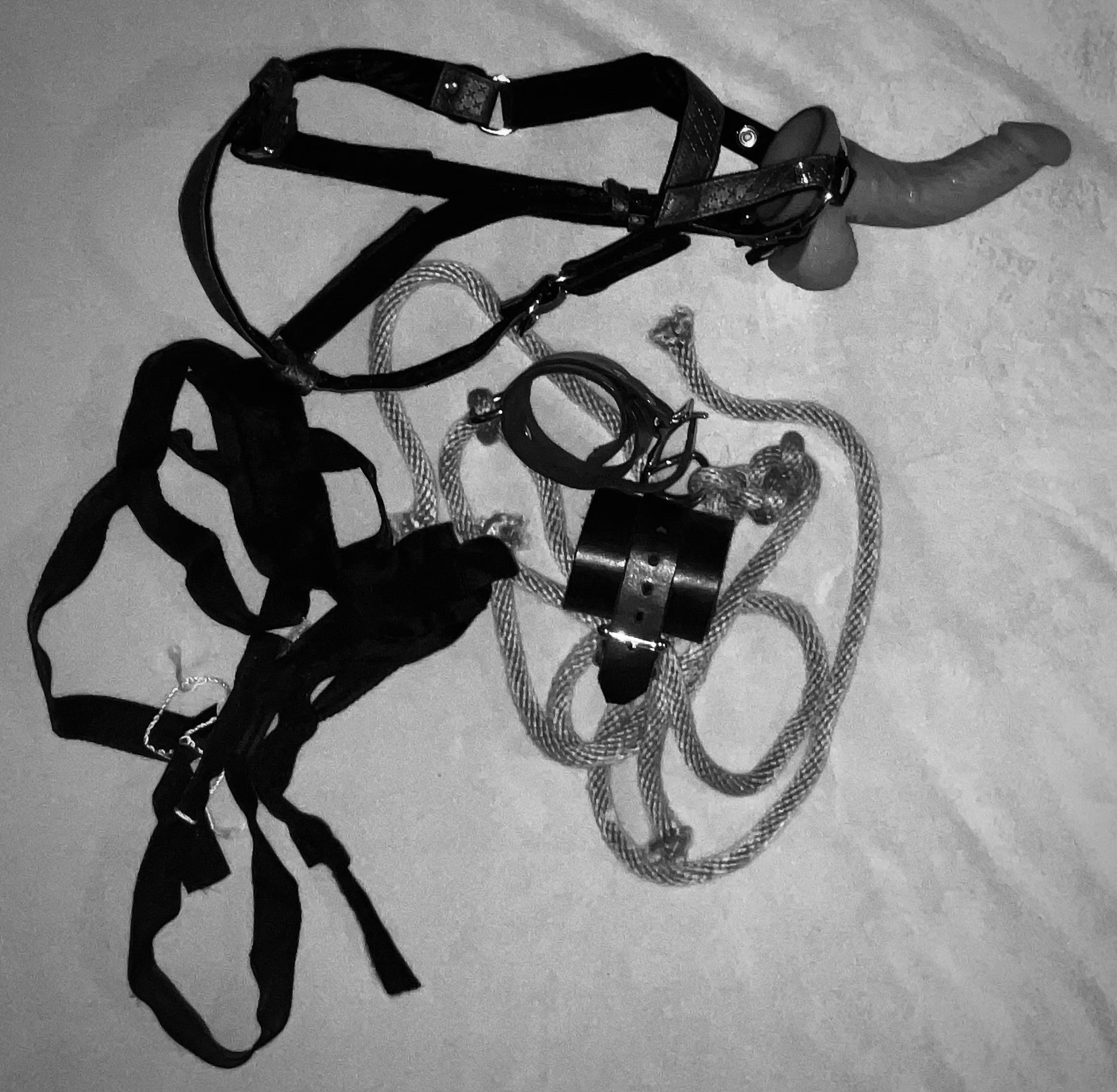 BridgetHolland photo 2