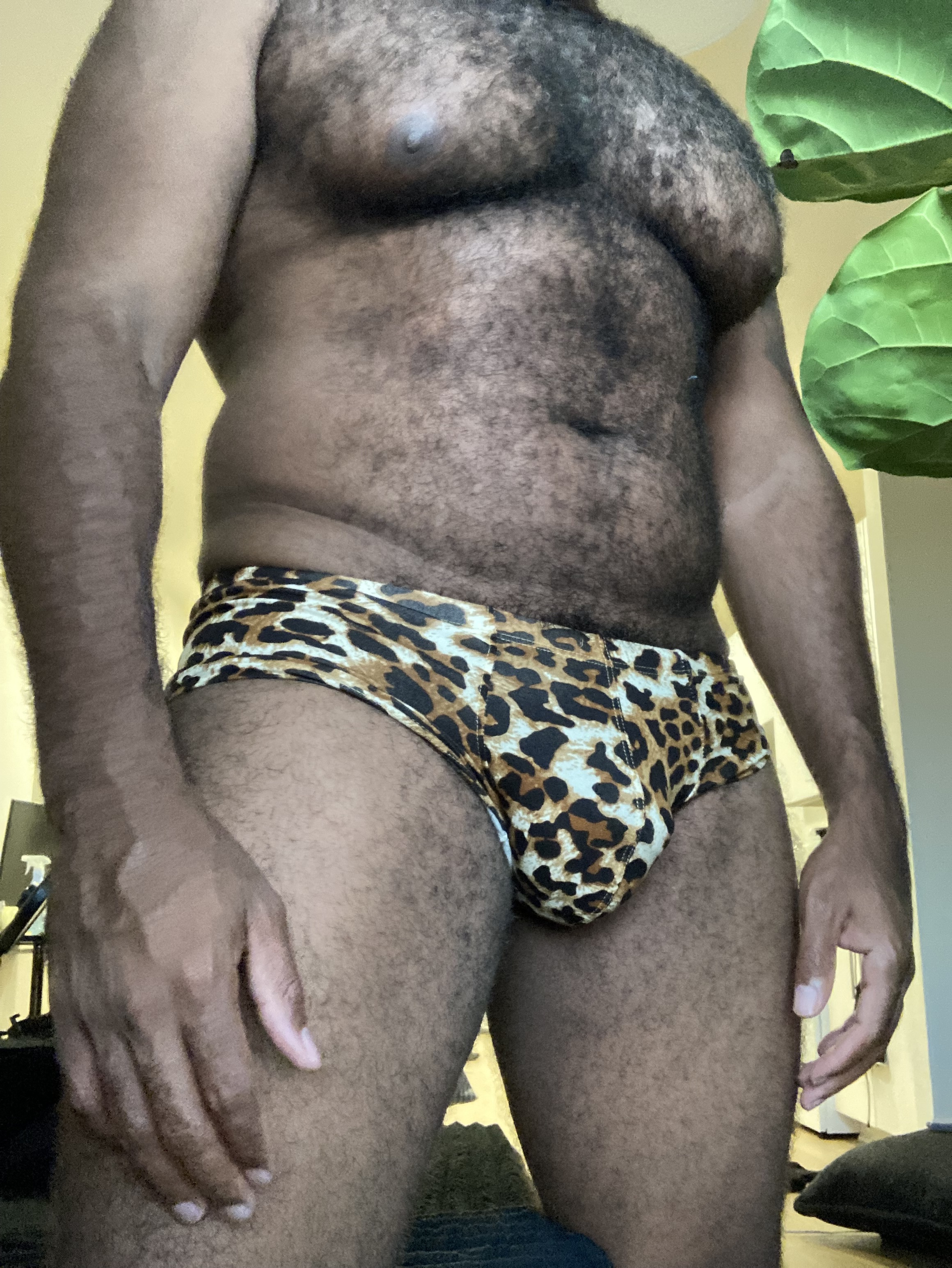 Peg_Master photo 3
