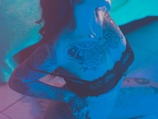 alessamoth pic