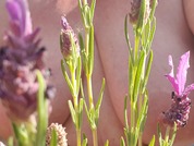 thesensualhorny pic