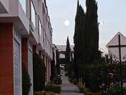 canelamadrid pic