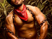 lionferrer pic
