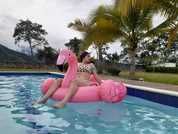 cindy_latin