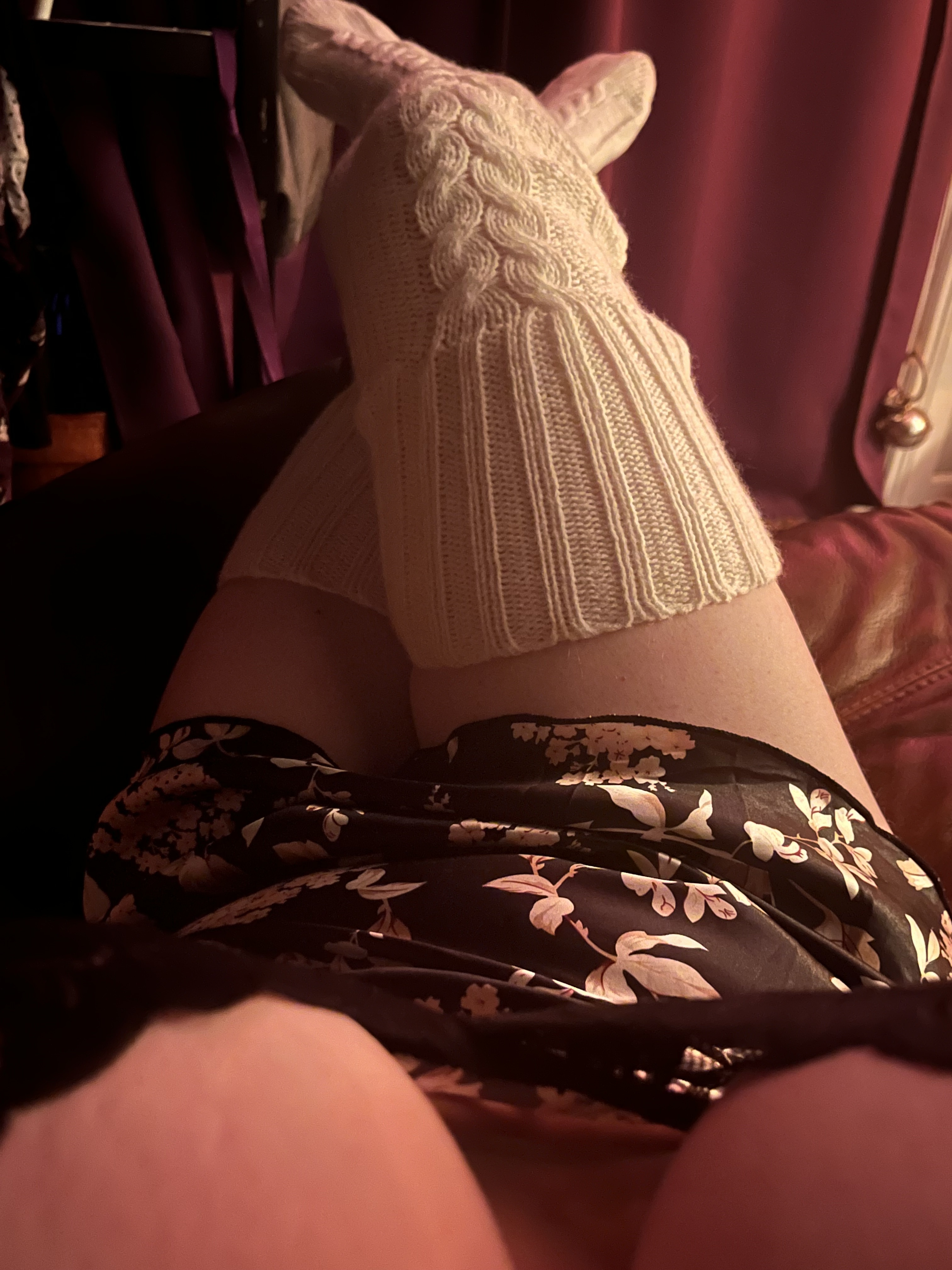 TemptingZebra picture 1