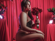 AryloverX