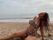 gipsydelicia