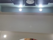 parrotclub69 pic