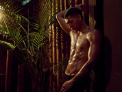 noahvolkov pic