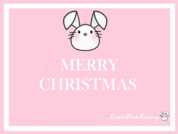 LittlePinkBunnny