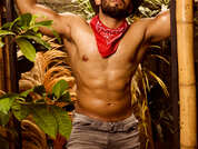 lionferrer pic