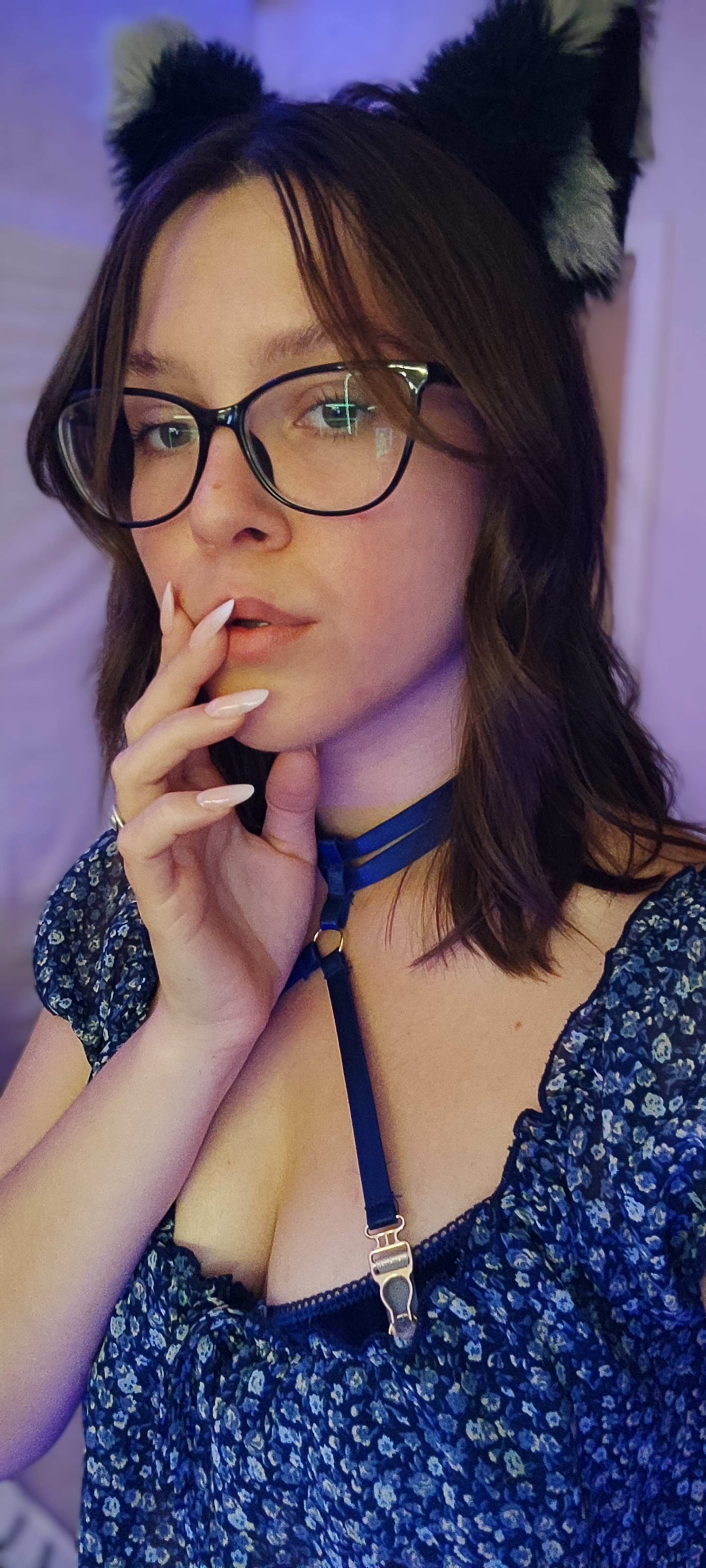 AliceSlyFox